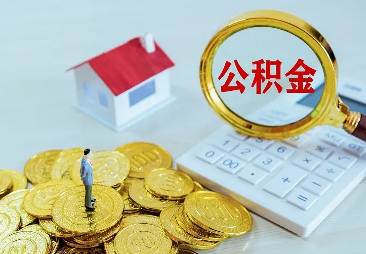 新野公积金有几种方法提取（成公积金提取）