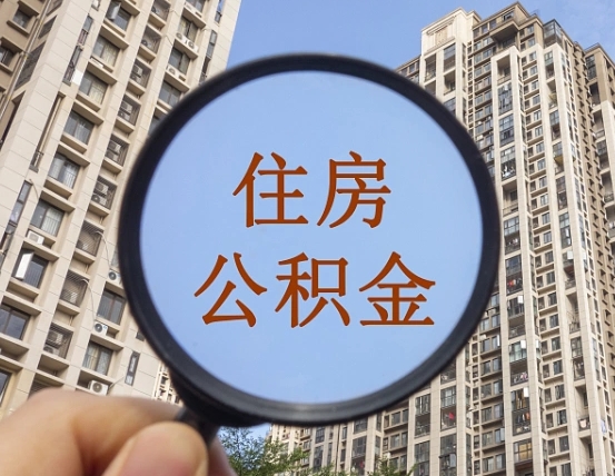 新野退休后查不到公积金明细了吗（退休后公积金查询不到原因）